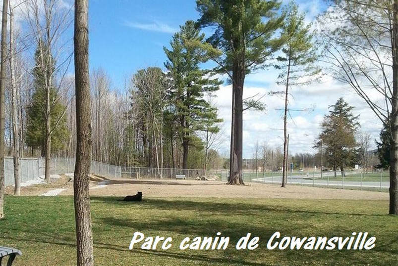 PARC CANIN DE COWANSVILLE